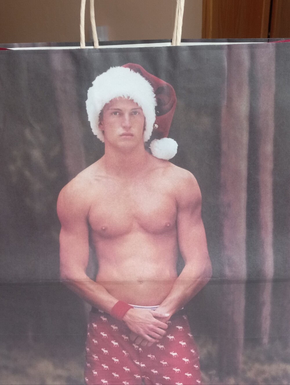 Large Vintage A & F Holiday Shopping Bag